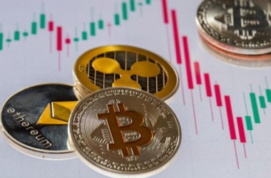 &#21315;&#20159;&#20307;&#32946;&#30331;&#24405;&#32593;&#31449;&#65288;&#20013;&#22269;&#65289;&#38598;&#22242;&#26377;&#38480;&#20844;&#21496;